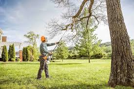 Best Arborist Consultation Services  in North Laurel, MD